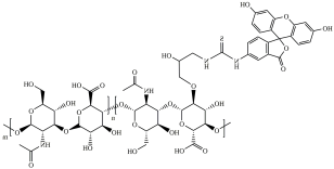 FITC-Hyaluronic Acid