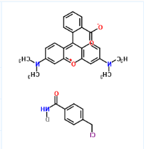 CytoTrace Orange CMTMR