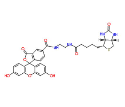 BIOTIN-4-FLUORESCEIN BIOTIN-4-FLUORESCEIN