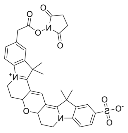 	Cy3B NHS ester