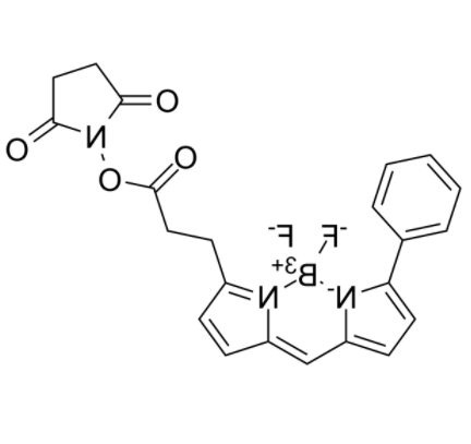 BIODIPY R6G ester 