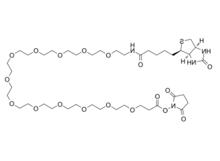 Biotin-PEG12-NHS ester 
