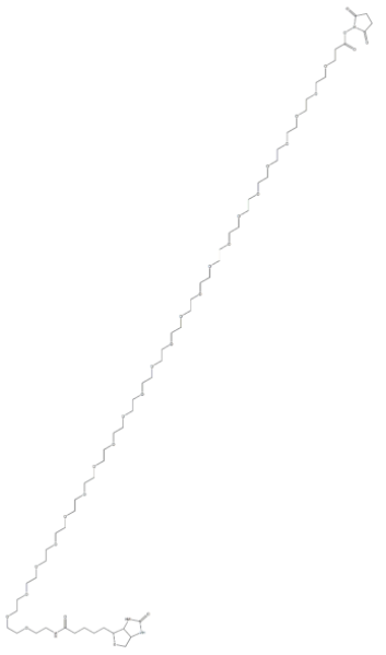 (+)-Biotin-PEG24-NHS Ester (+)-Biotin-PEG24-NHS Ester