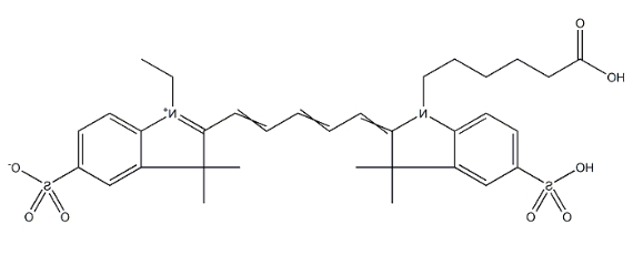 荧光染料引导的CY5
