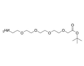 Amino-PEG4-C1-Boc 