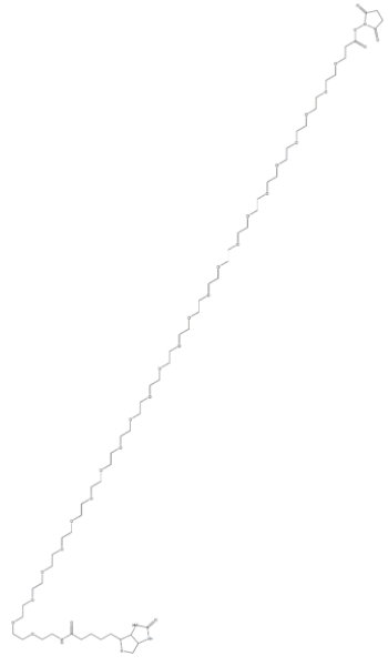 1748510014810572.png image.png