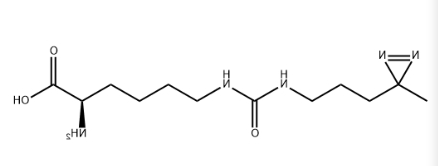 DIZPK