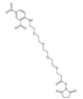 DNP-PEG4-NHS ester DNP-PEG4-NHS ester