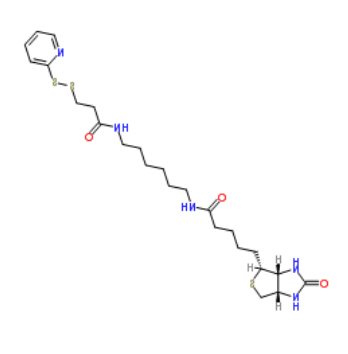 生物素-HPDP 生物素-HPDP