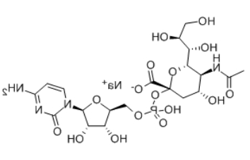 CMP-N-乙酰神经氨酸
