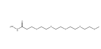 H2N-PEG4-Hydrazide