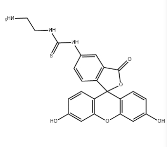 5-FITC-C2-amine