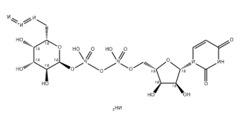 UDP-6-N3-Galactose