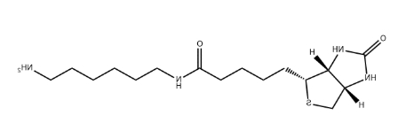 Biotin-C6-amine