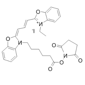 CY2-SE 