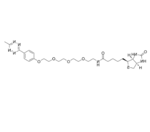 Biotin-PEG4-methyltetrazine Biotin-PEG4-methyltetrazine