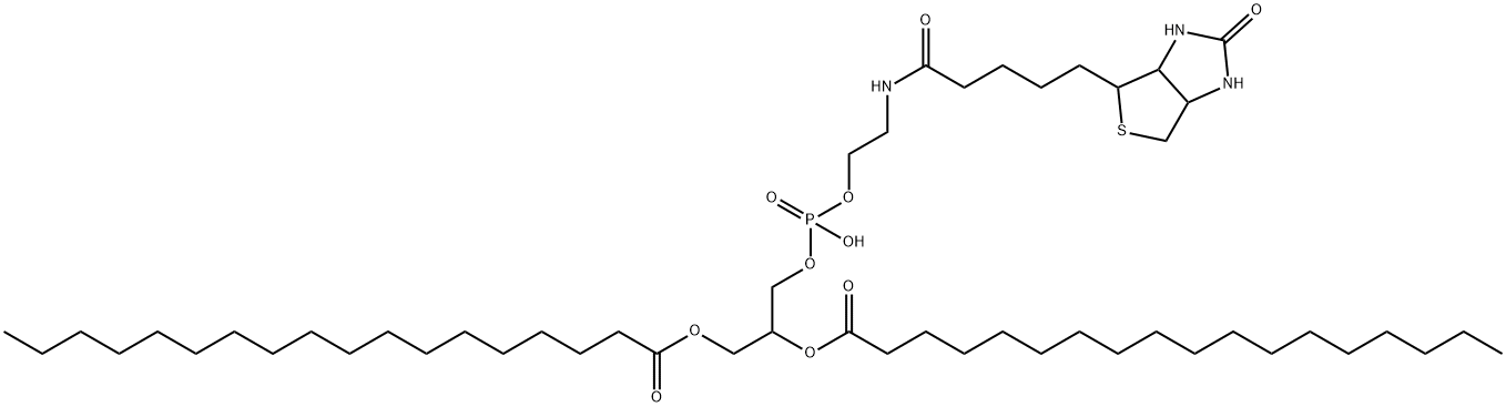 Phospholipids-Biotin