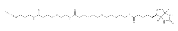Biotin-PEG3-SS-azide