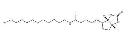 Biotin-PEG3-SH