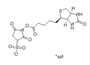 Biotin-Sulfo-NHS ester Biotin-Sulfo-NHS ester
