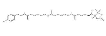 Biotin-XX Tyramide Reagent，cas：851113-28-5.png