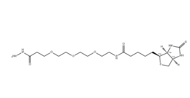 （+）-Biotin-PEG3-Hydrazide