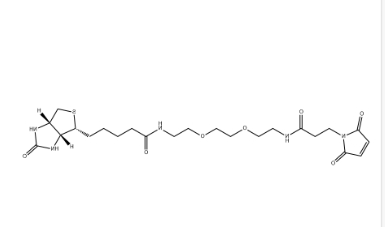 (+)-Biotin-PEG2-NH-Mal (+)-Biotin-PEG2-NH-Mal
