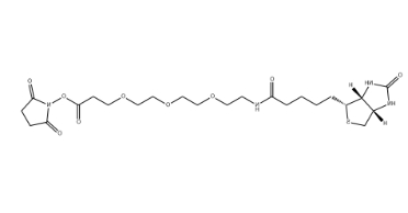 （+）-Biotin-PEG3-NHS Ester