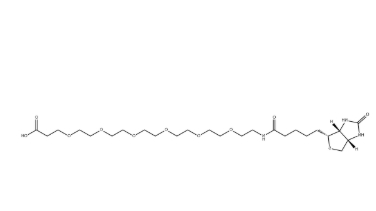 （+）-Biotin-PEG6-CH2CH2COOH