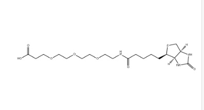 （+）-Biotin-PEG3-CH2CH2COOH