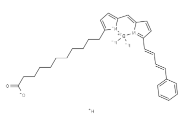 BODIPY 581/591 C11荧光染料