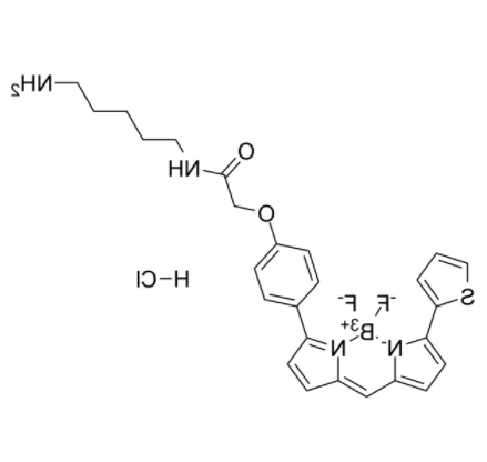 BODIPY TR Cadaverine  