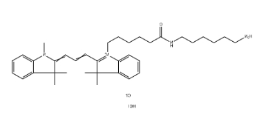 Cy3 amine 氨基