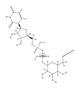 UDP-6-叠氮-6-脱氧-D-葡萄糖二钠盐