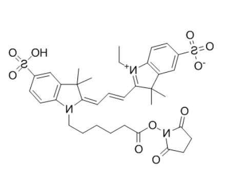	CY3-NHS酯	 