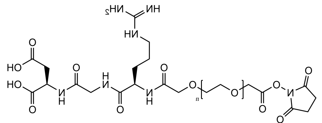 NHS-PEG2K-RGD，活性酯修饰的RGD-PEG2K