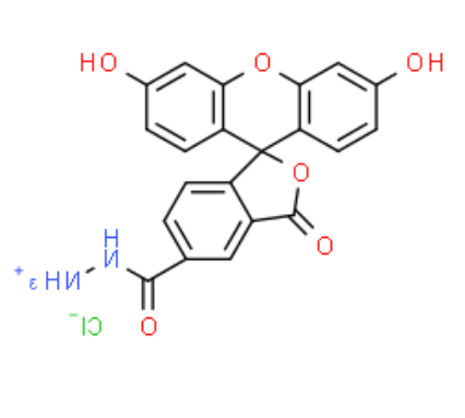 FAM hydrazide 5-isomer 