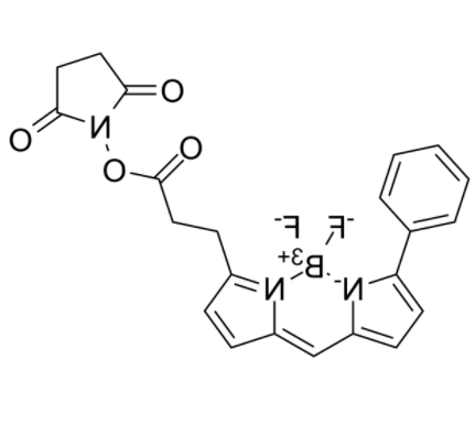 BIODIPY R6G ester 