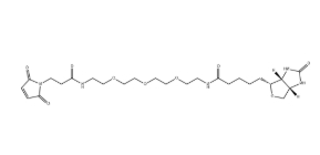 （+）-Biotin-PEG3-NH-Mal