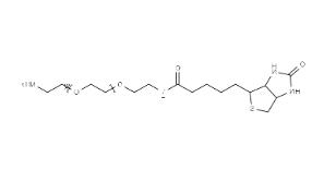 （+）-Biotin-PEG11-CH2CH2NH2