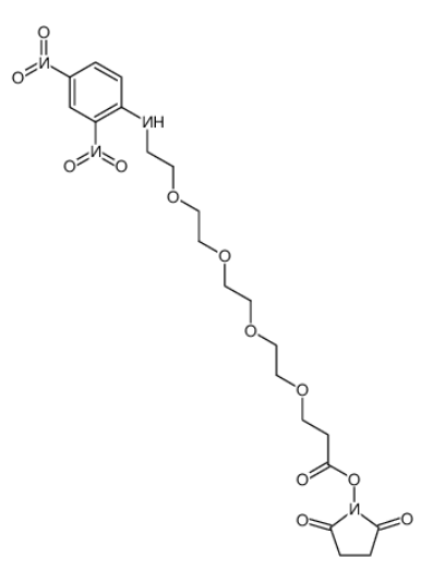	DNP-PEG4-NHS ester  