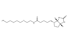 （+）-Biotin-PEG2-CH2CH2NH2