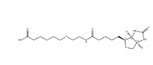 （+）-Biotin-PEG2-CH2CH2COOH