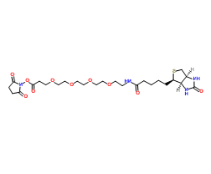 Biotin-PEG4-NHS ester Biotin-PEG4-NHS ester