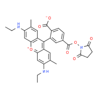 6-CARBOXYRHODAMINE 6G, SUCCINIMIDYL ESTER 6-CARBOXYRHODAMINE 6G, SUCCINIMIDYL ESTER