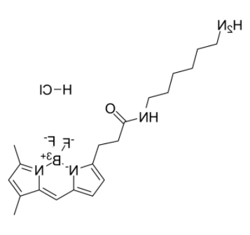	BDP FL amine 