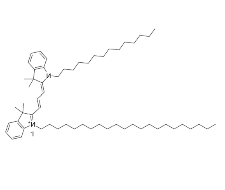 PKH-26 (RED) 外泌体示踪染料 