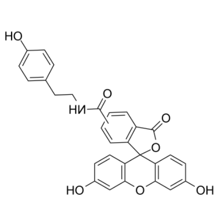 Fluorescein tyramide 