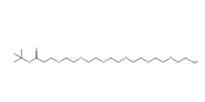 NH2-PEG6-CH2CH2COOtBu