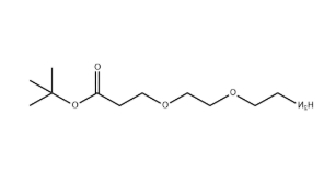 NH2-PEG2-CH2CH2COOtBu
